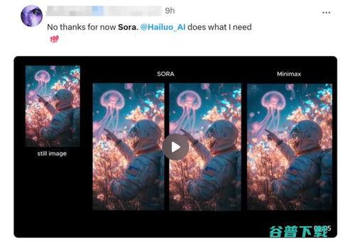 国产视频站,引领潮流,打造视听盛宴的数字家园